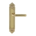 Дверная ручка Extreza "BENITO" (Бенито) 307 на планке PL02, полированное золото