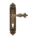 Дверная ручка Extreza "TESLA" (Тесла) 315 на планке PL02, матовая бронза (cyl)