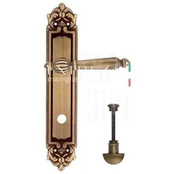 Дверная ручка Extreza "DANIEL" (Даниел) 308 на планке PL02