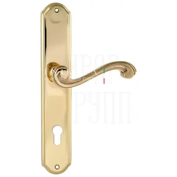 Дверная ручка Extreza 'LINA' (Лина) 313 на планке PL01 полированное золото (cyl)