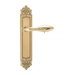 Дверная ручка Extreza "MIREL" (Мирель) 316 на планке PL02, полированное золото