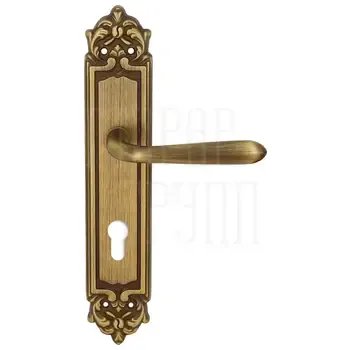 Дверная ручка Extreza "ALDO" (Альдо) 331 на планке PL02