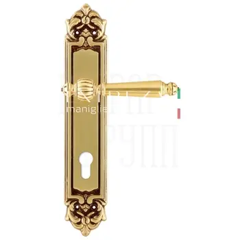 Дверная ручка Extreza 'DANIEL' (Даниел) 308 на планке PL02 французское золото (cyl)