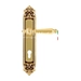 Дверная ручка Extreza 'DANIEL' (Даниел) 308 на планке PL02, французское золото (cyl)