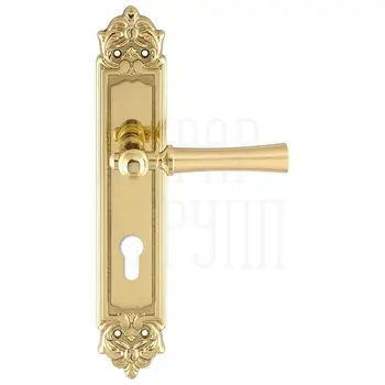 Дверная ручка Extreza 'DEZI' (Дези) 309 на планке PL02 полированное золото (cyl)