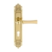 Дверная ручка Extreza "DEZI" (Дези) 309 на планке PL02, полированное золото (cyl)