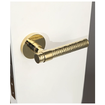 Дверная ручка из латуни Ghobestir 'PANTHER Collection' G008 на круглой розетке золото