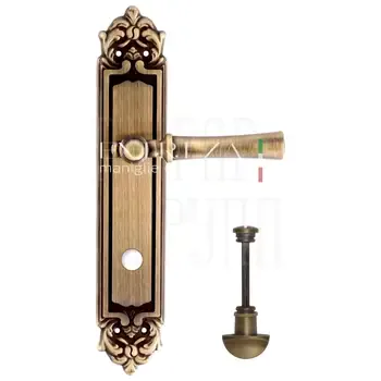 Дверная ручка Extreza "DEZI" (Дези) 309 на планке PL02