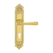 Дверная ручка Extreza "PIERO" (Пиеро) 326 на планке PL02, полированное золото (cyl)