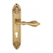 Дверная ручка Venezia "ANAFESTO" на планке PL90, французское золото (cyl)