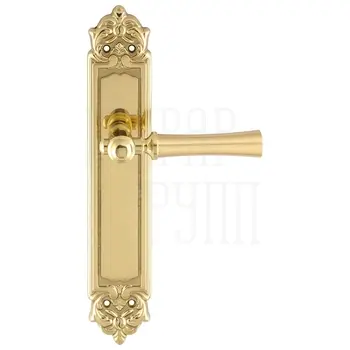 Дверная ручка Extreza 'DEZI' (Дези) 309 на планке PL02 полированное золото