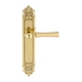 Дверная ручка Extreza "DEZI" (Дези) 309 на планке PL02, полированное золото
