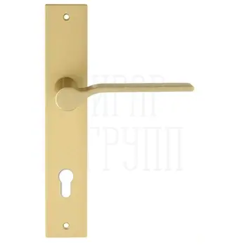 Дверная ручка Extreza Hi-Tech 'FORMA' (Форма) 137 на планке PL13 матовая латунь
