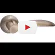 Дверные ручки Renz (Ренц) 